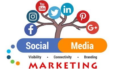 What is social media marketing, best social media marketing agency near me, best social media marketing agency in delhi & delhi ncr, how social algorithm works